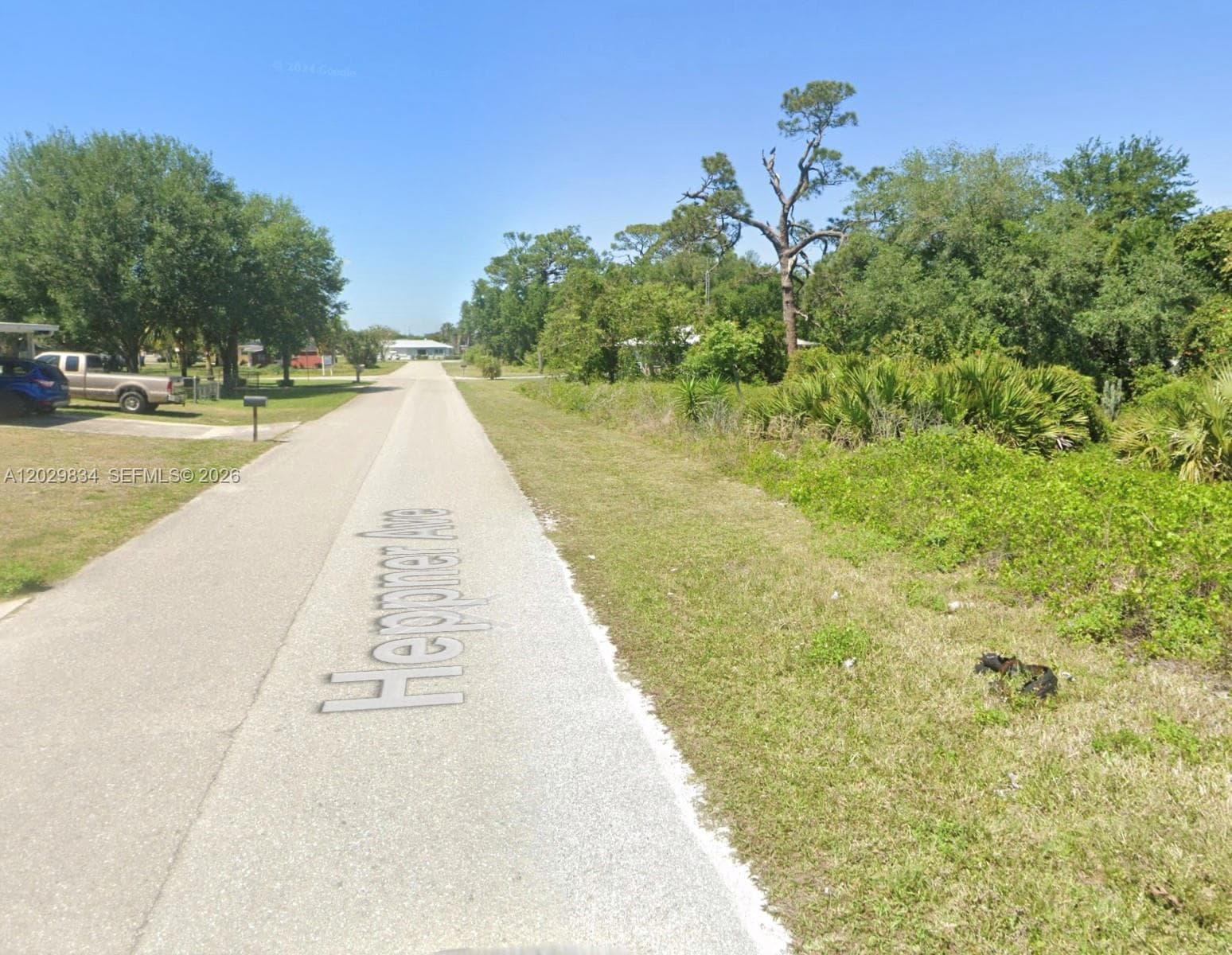 220 Heppner Ave, Lake Placid, FL 33852 photo 4