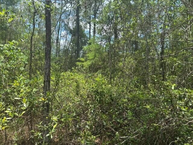 0 Water Road, Clermont, FL 33868 photo 2