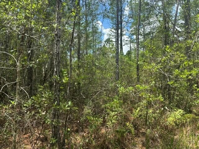 0 Water Road, Clermont, FL 33868 photo 3