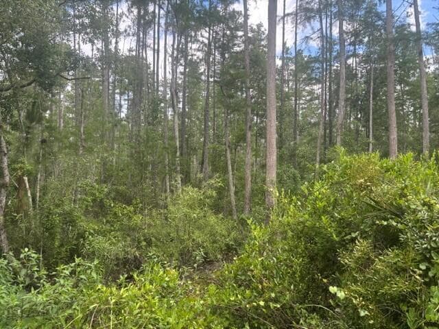 0 Water Road, Clermont, FL 33868 photo 2