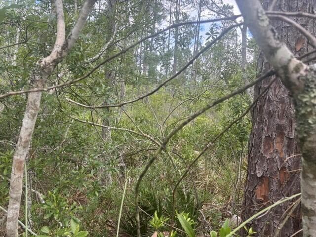 0 Water Road, Clermont, FL 33868 photo 3