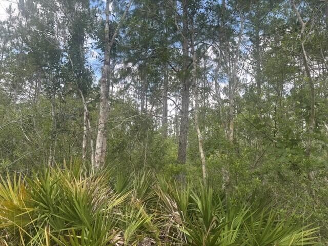 0 Water Road, Clermont, FL 33868 photo 4