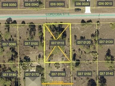1246 Cordoba Street E, Lehigh Acres, FL 33974 photo 2