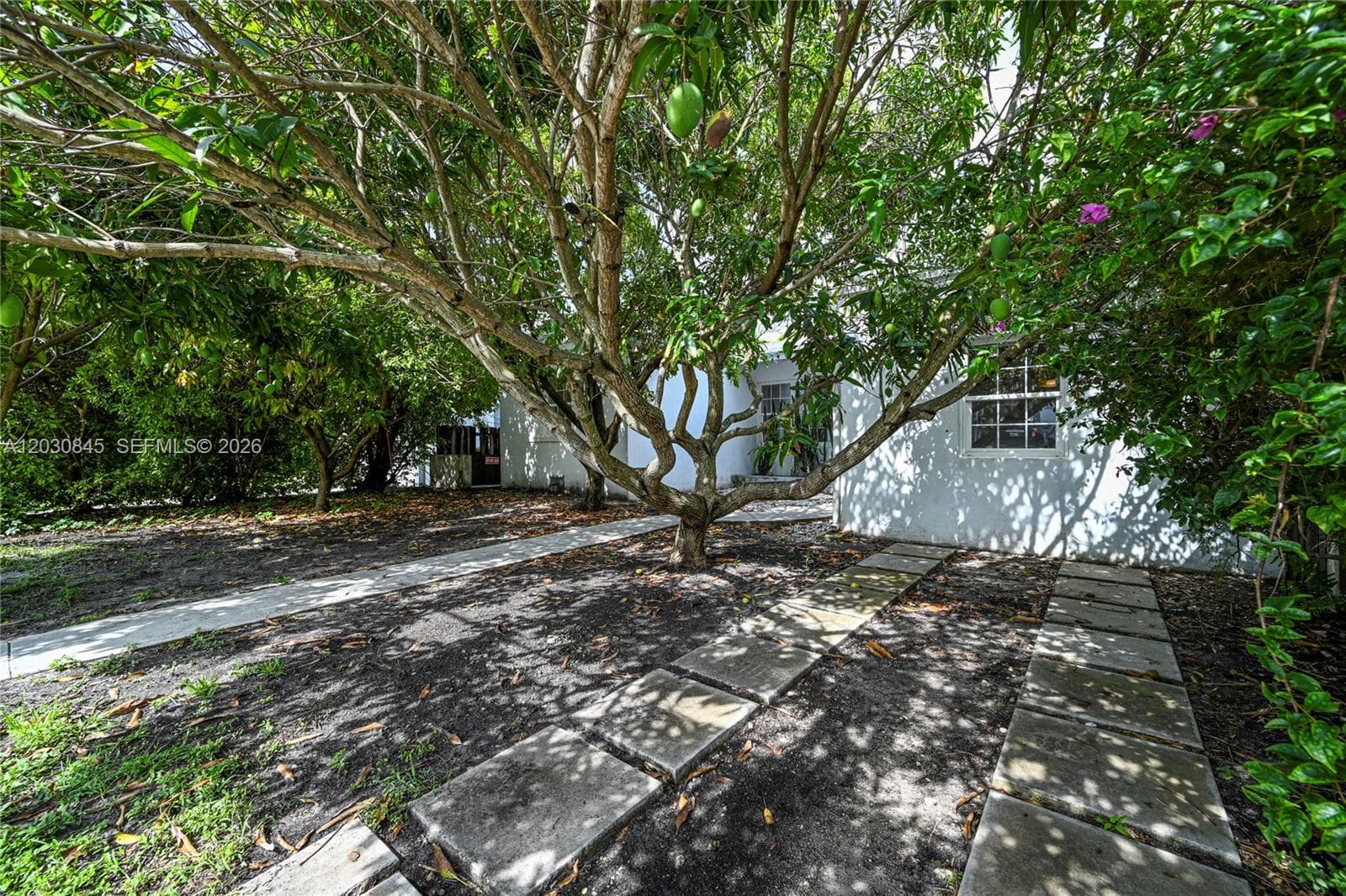 8942 Carlyle Ave, Surfside, FL 33154 photo 3
