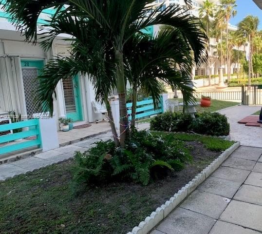 6490 Collins Ave # 3, Miami Beach, FL 33141 photo 2