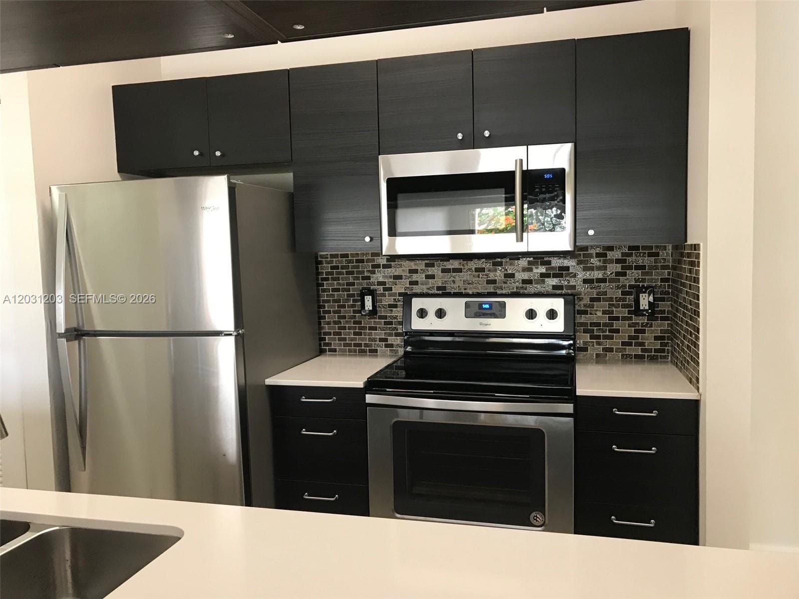 15780 SW 106th Ter # 306, Miami, FL 33196 photo 4