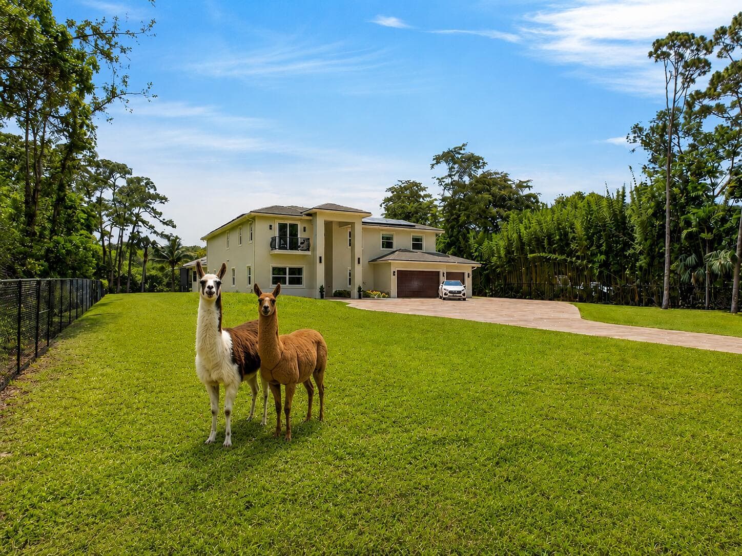 6077 NW 71st Terrace, Parkland, FL 33067 photo 5