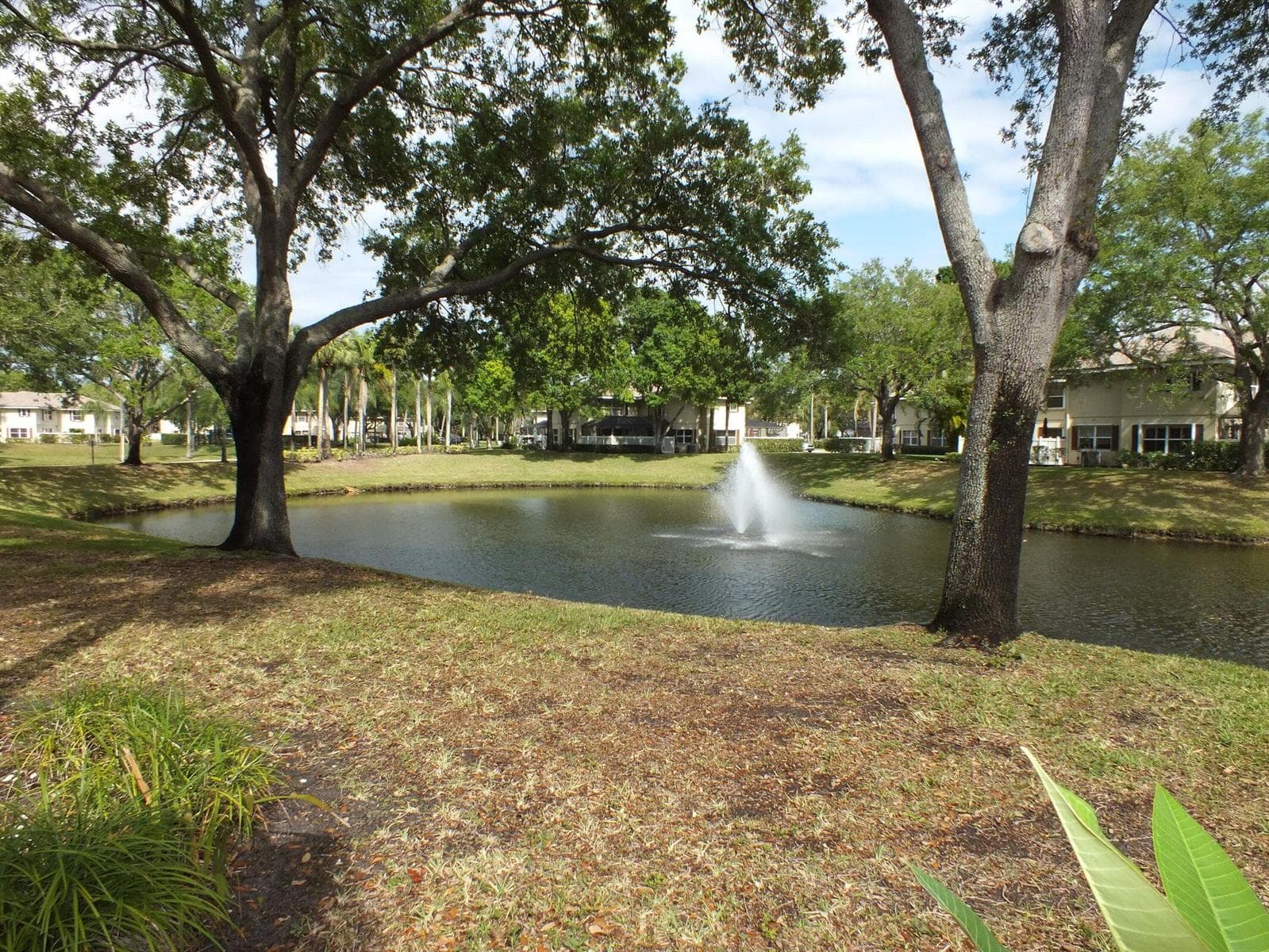 36 Danbury Court # B, Royal Palm Beach, FL 33411 photo 5