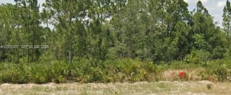 3011 W Dixon Rd, Avon Park, FL 33825 photo 2
