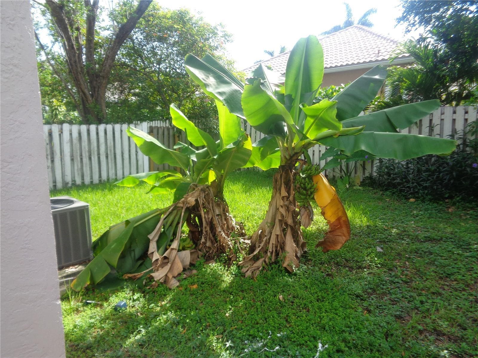 10939 W Broward Boulevard # 10939, Plantation, FL 33324 photo 5