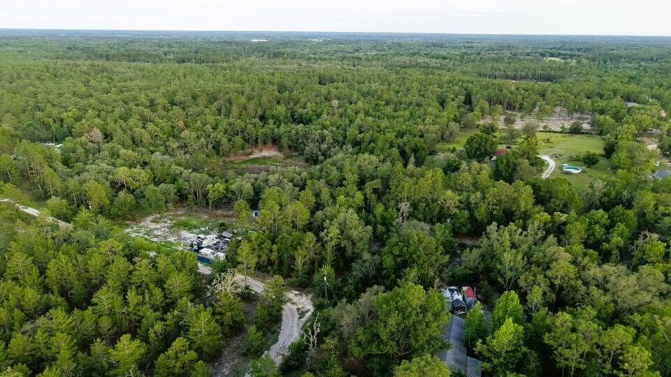121 Susan Road, FL 32640 photo 4