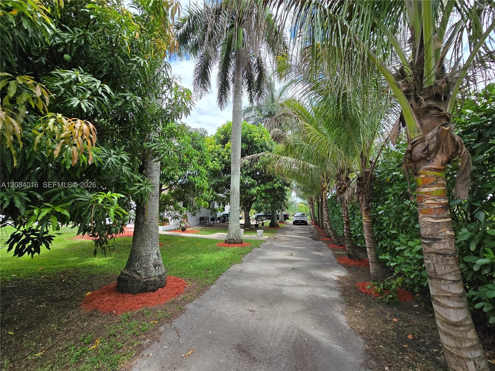 20595 SW 190th St, Miami, FL 33187 photo 3