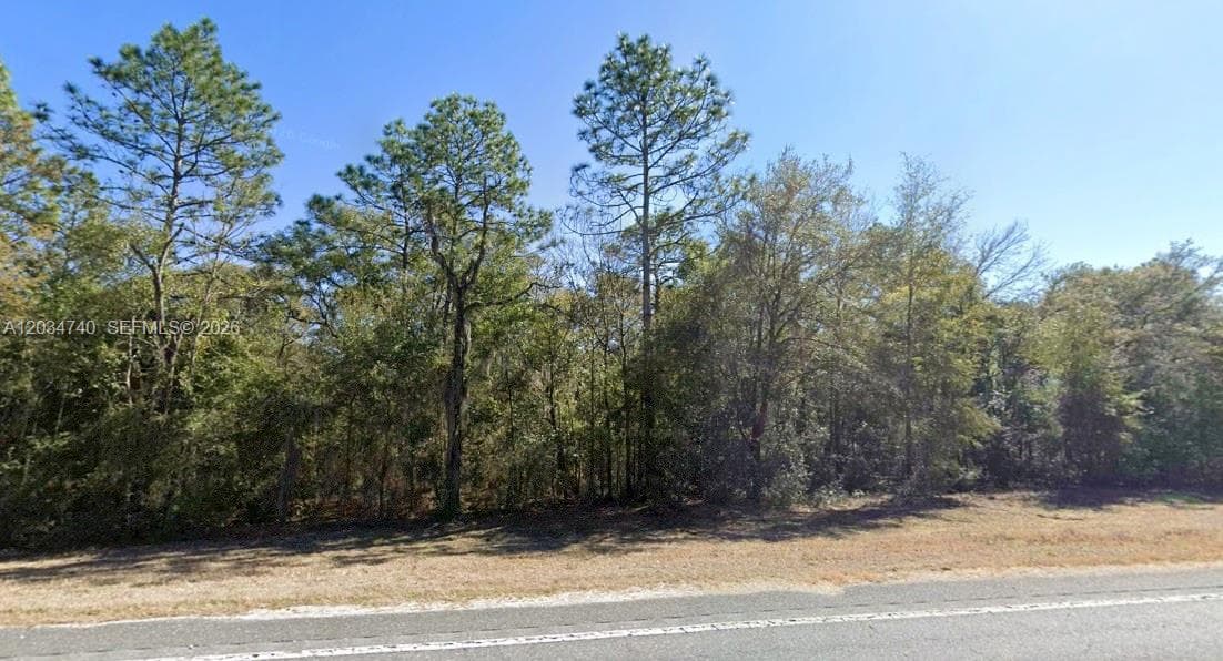 Lot 2 STR 121, Williston, FL 32696 photo 2