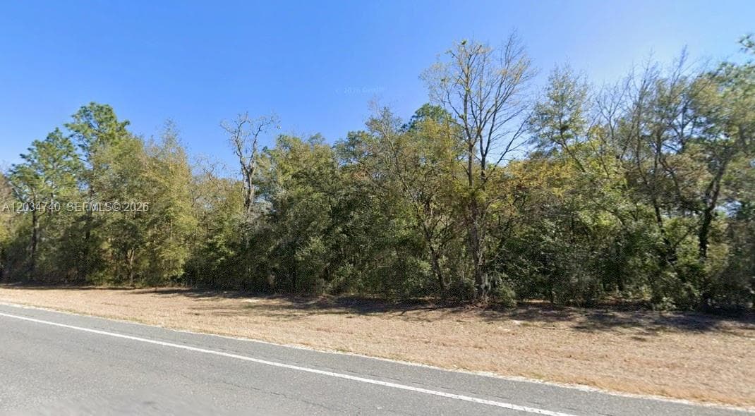 Lot 2 STR 121, Williston, FL 32696 photo 3