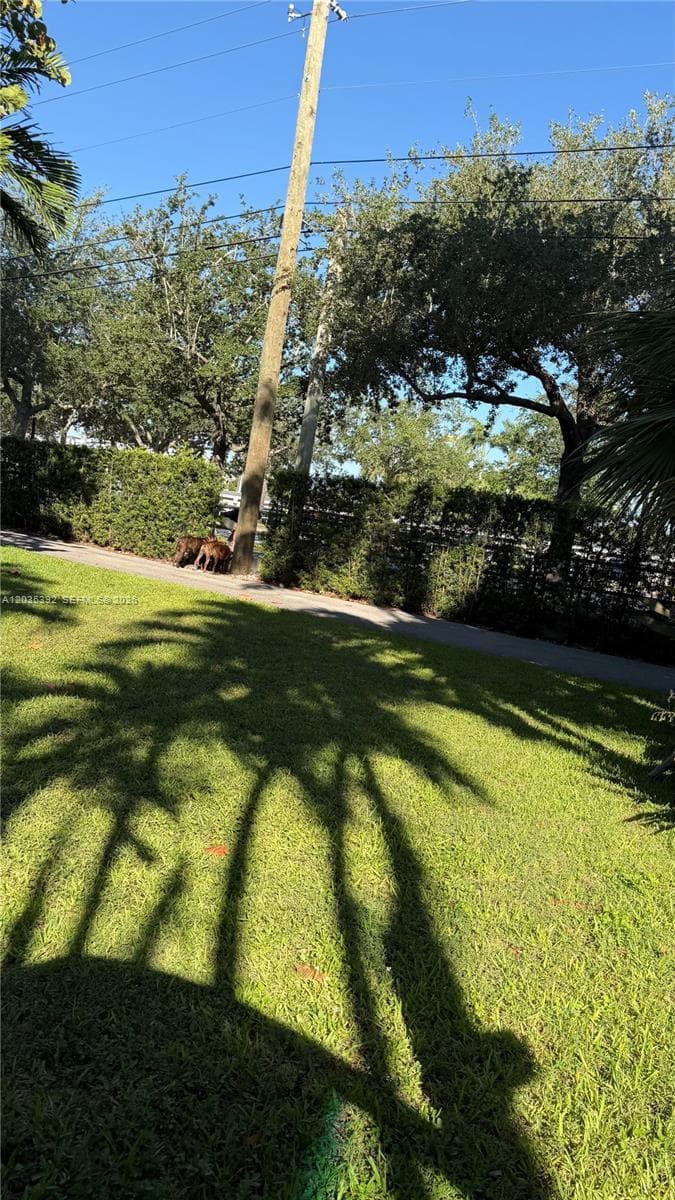 10115 Biscayne Blvd, Miami Shores, FL 33138 photo 4