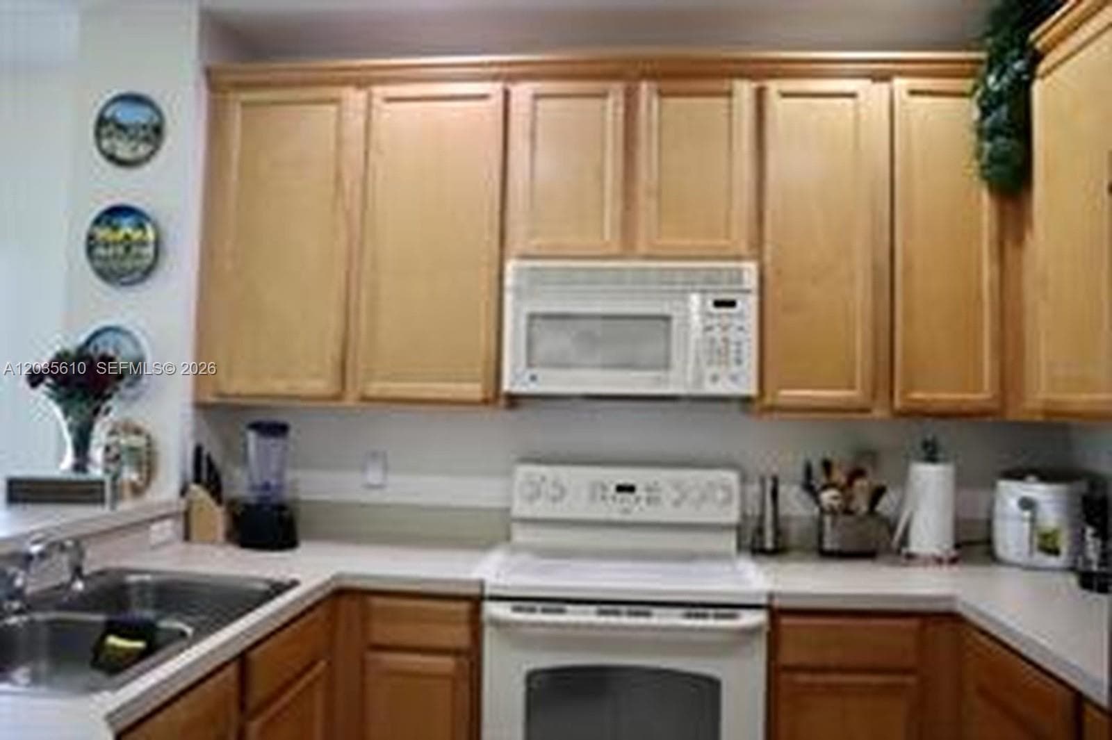 9395 Flowering Cottonwood, Orlando, FL 32832 photo 5