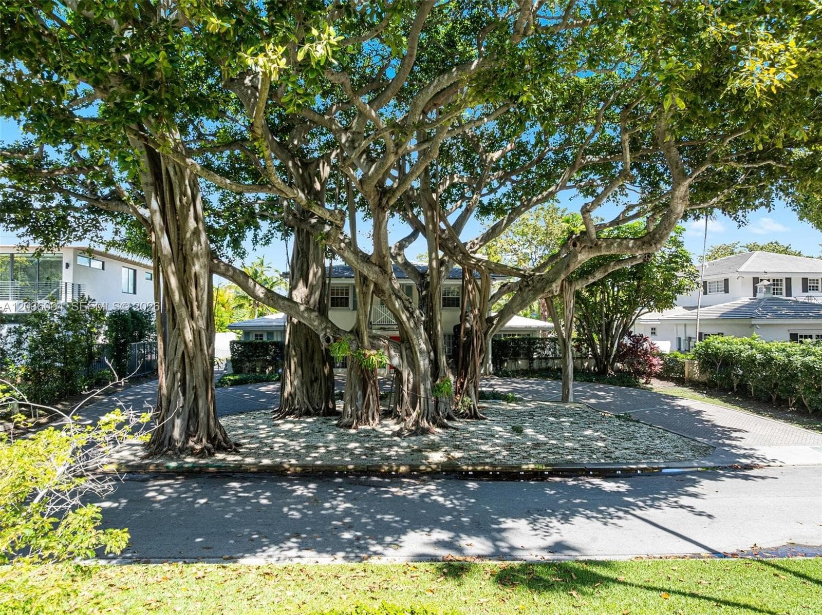 655 Buttonwood Ln, Miami, FL 33137 photo 5
