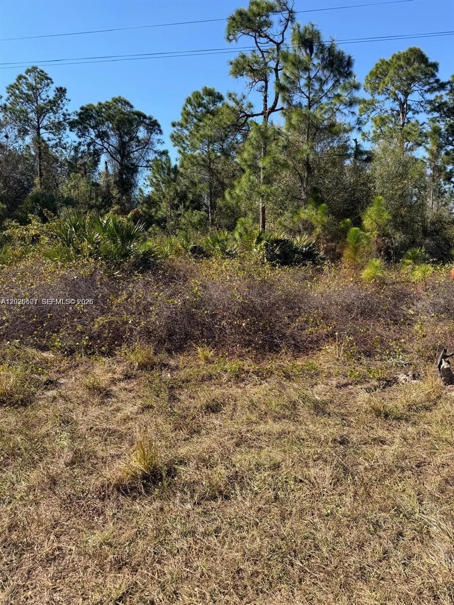 216 Columbus, Lehigh Acres, FL 33974 photo 3