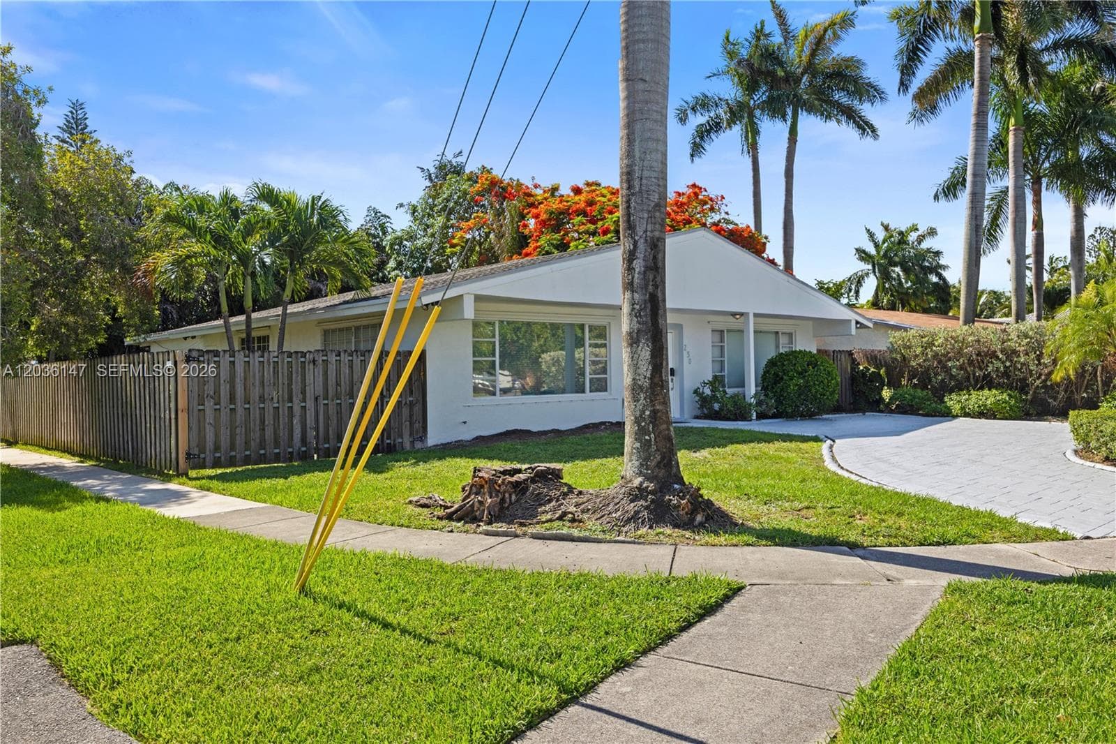 230 NE 5th Ave, Dania Beach, FL 33004 photo 4