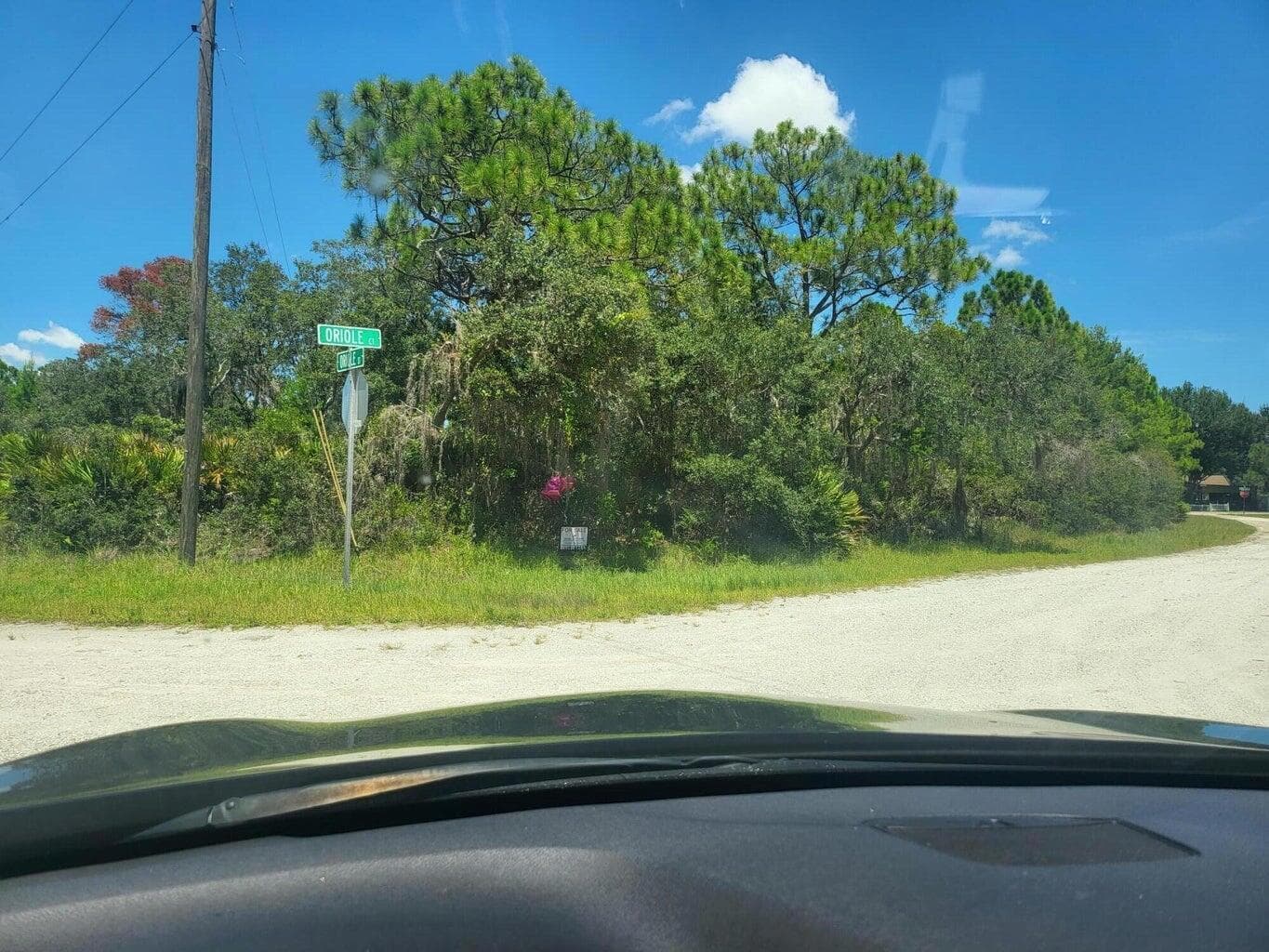 3249 Oriole Court, Lake Placid, FL 33852 photo 2