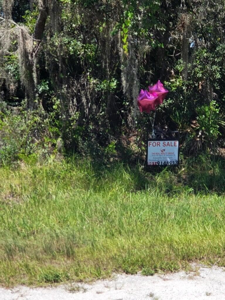 3249 Oriole Court, Lake Placid, FL 33852 photo 4