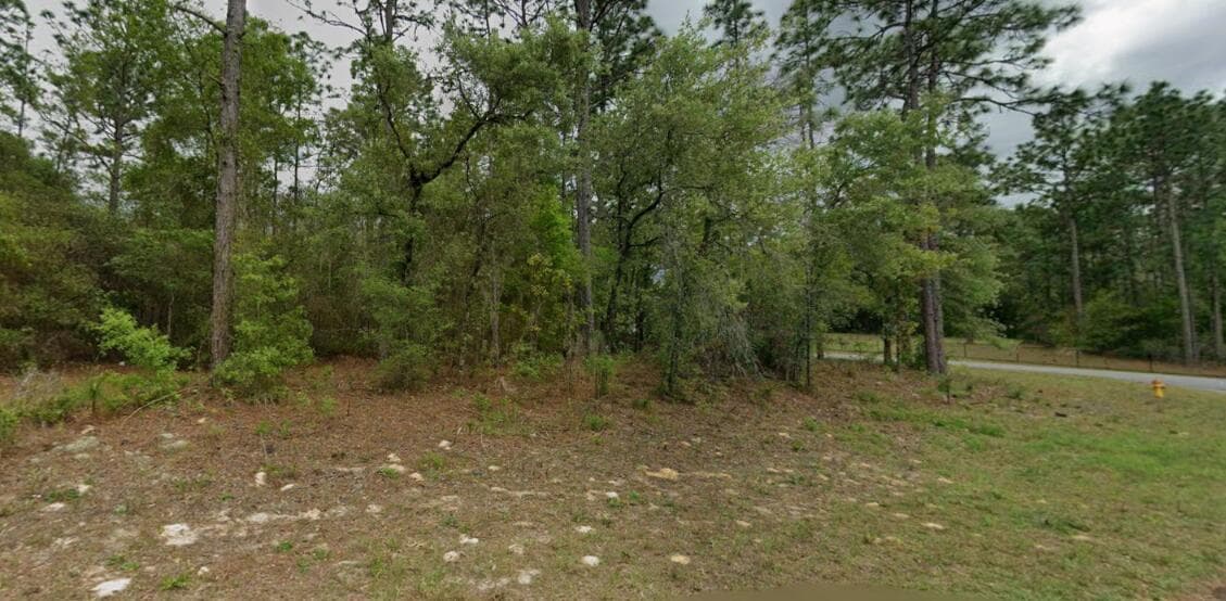 9239 N Marcus Way, FL 34433 photo 5