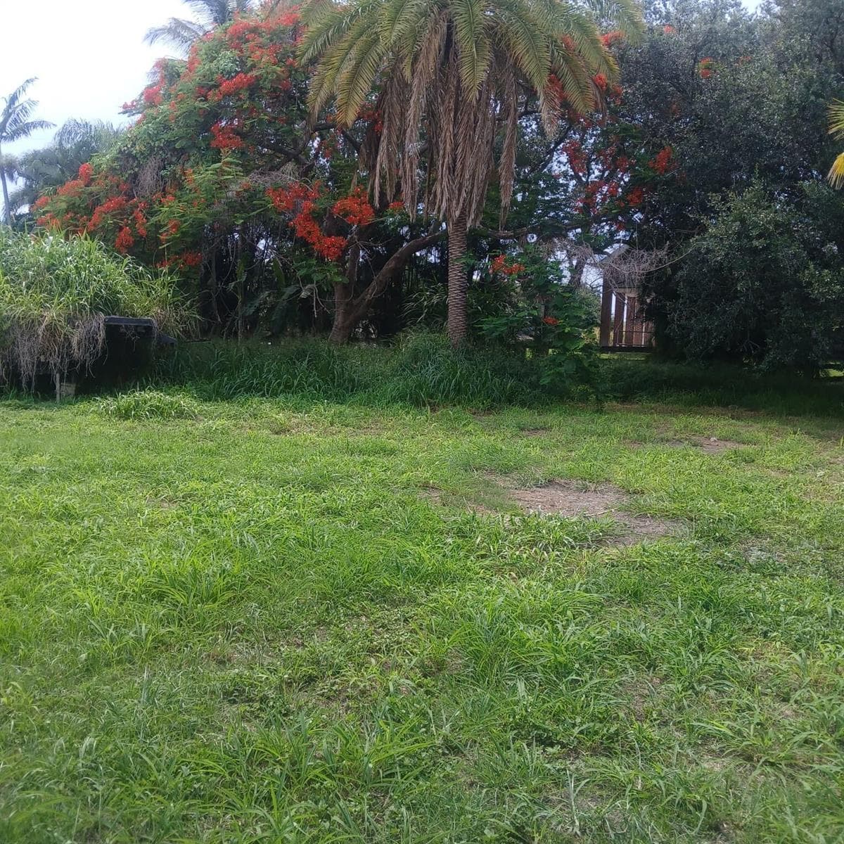 37121 E Main Street, Canal Point, FL 33438 photo 3