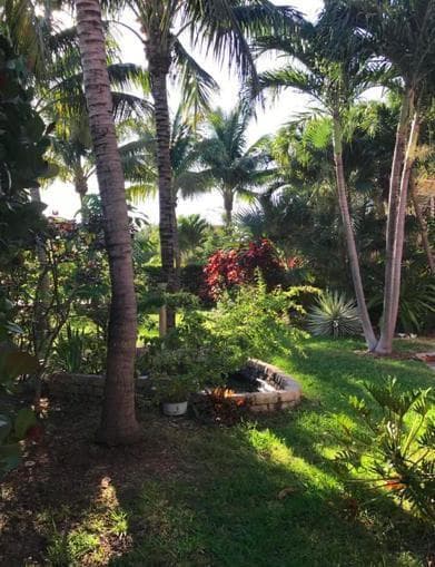 12 S Ocean Breeze # #2, FL 33460 photo 5
