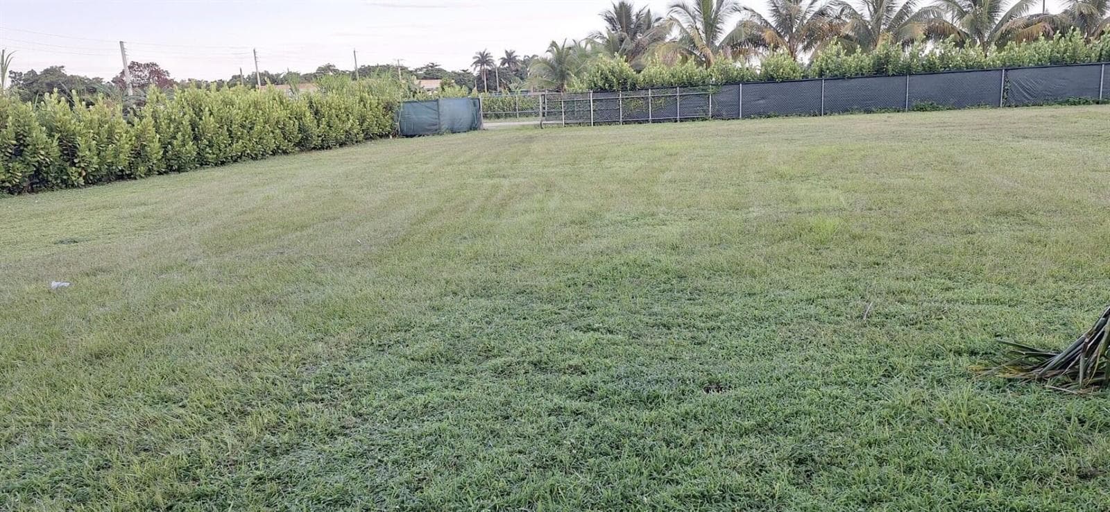 19741 SW 325th Street, Homestead, FL 33030 photo 3
