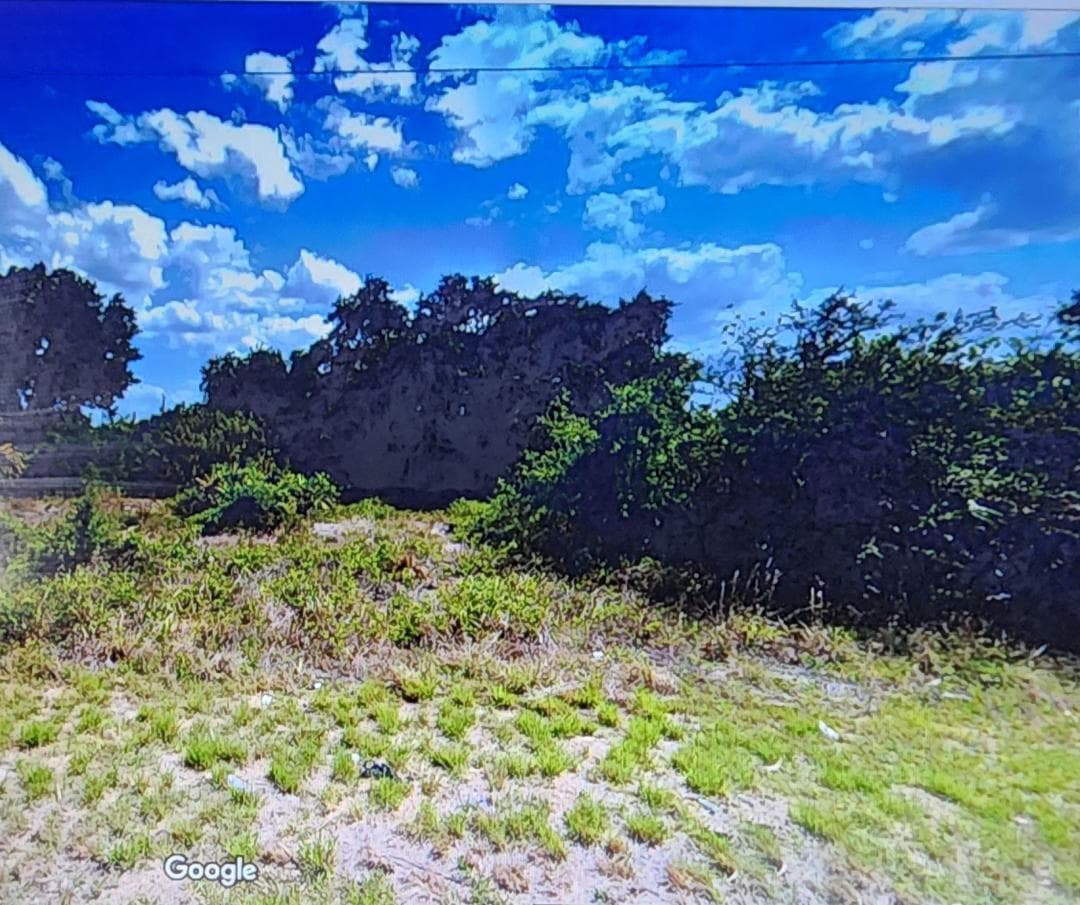 810 E Wolverine Street E, Lehigh Acres, FL 33974 photo 3