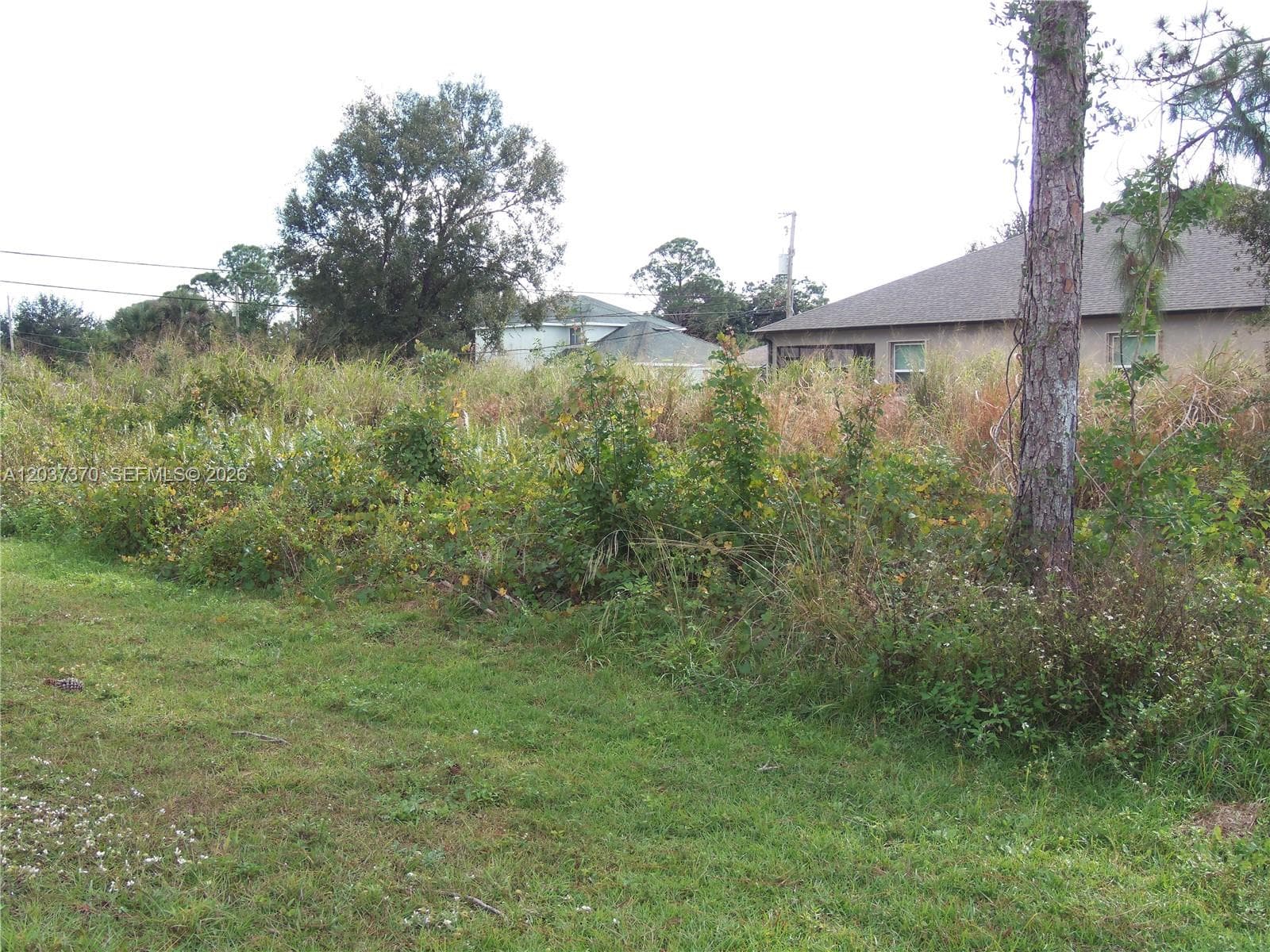 4149 SW Bamberg St, Port St. Lucie, FL 34953 photo 3