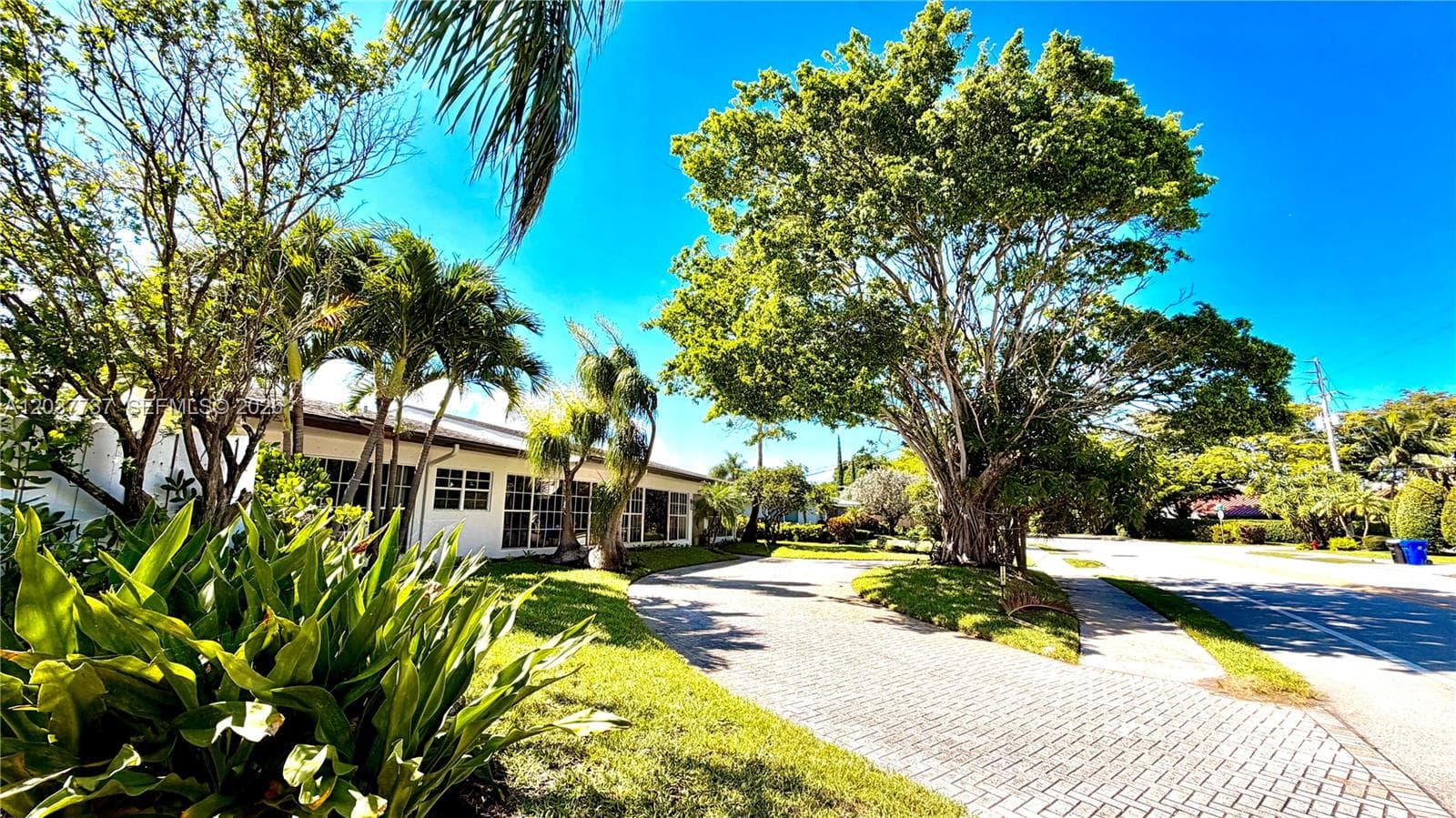 2409 Bayview Dr, Fort Lauderdale, FL 33305 photo 5