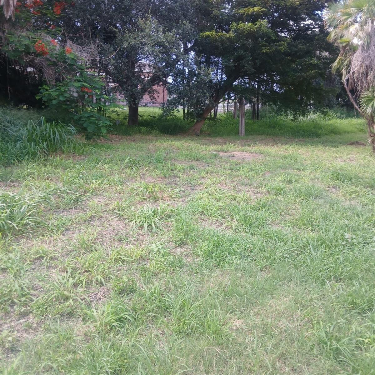 . SW Conners Highway W, Canal Point, FL 33438 photo 2