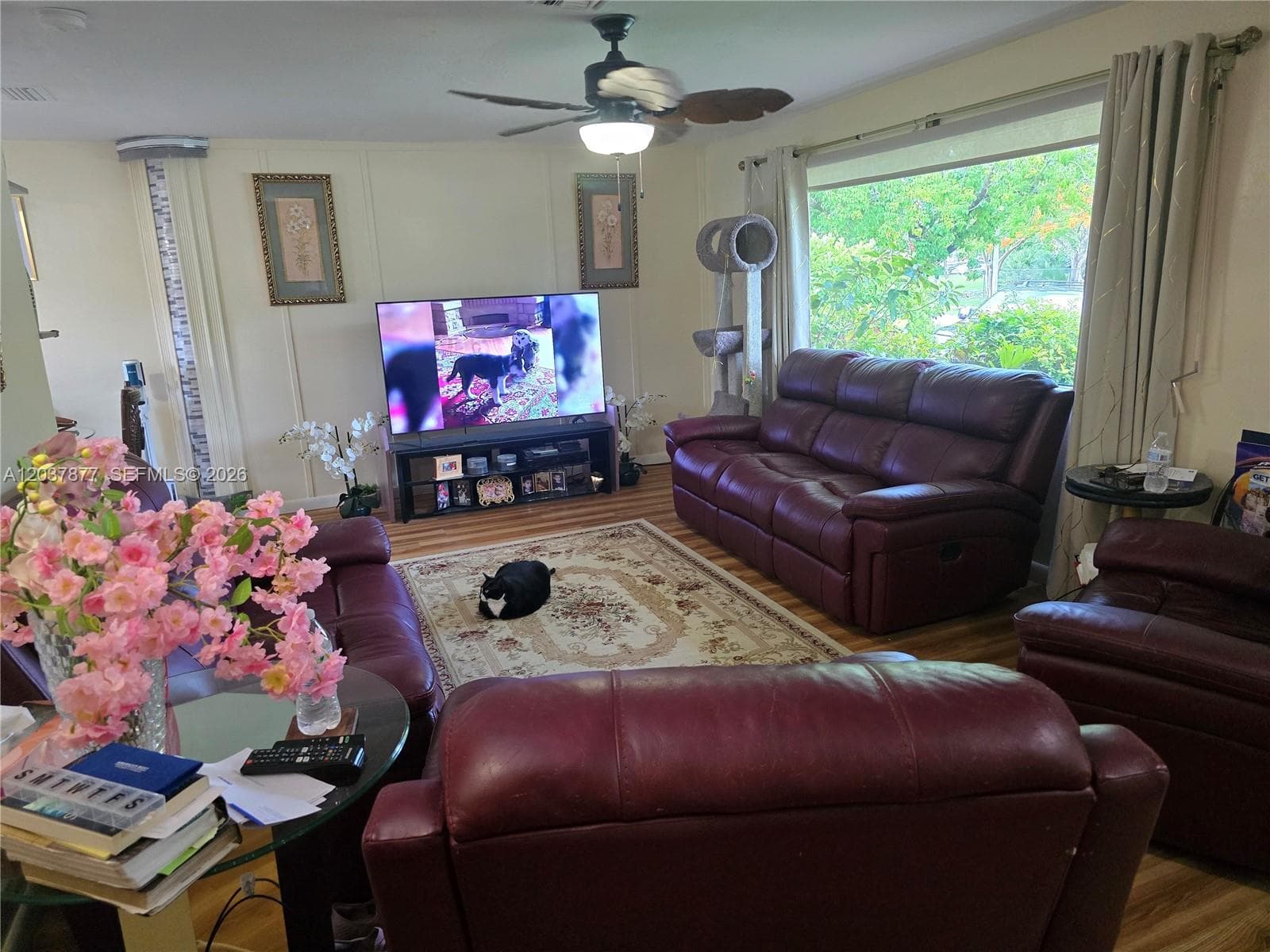 19500 SW 87th Ave, Cutler Bay, FL 33157 photo 3