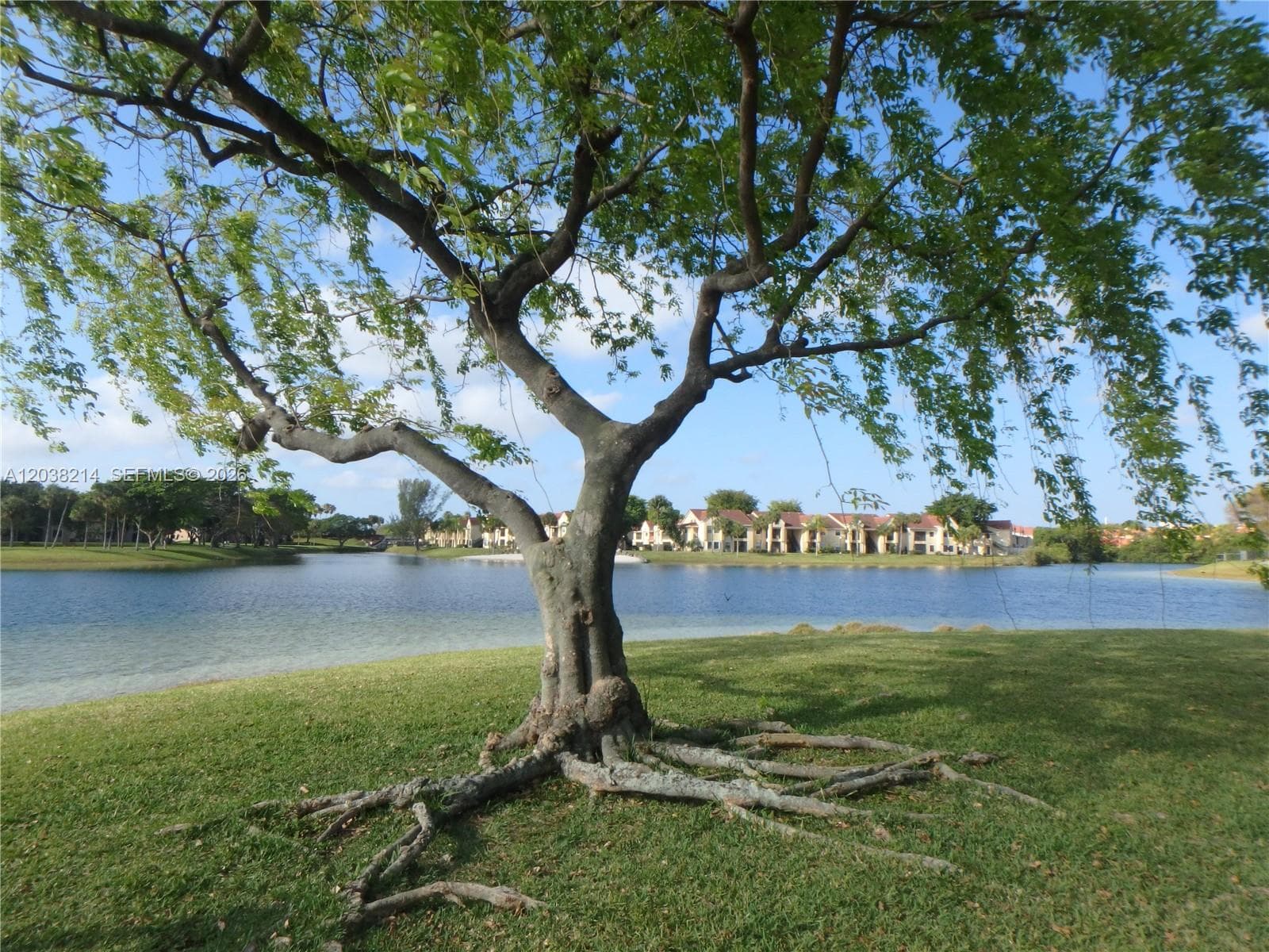 9727 Hammocks Blvd # 101D, Miami, FL 33196 photo 4