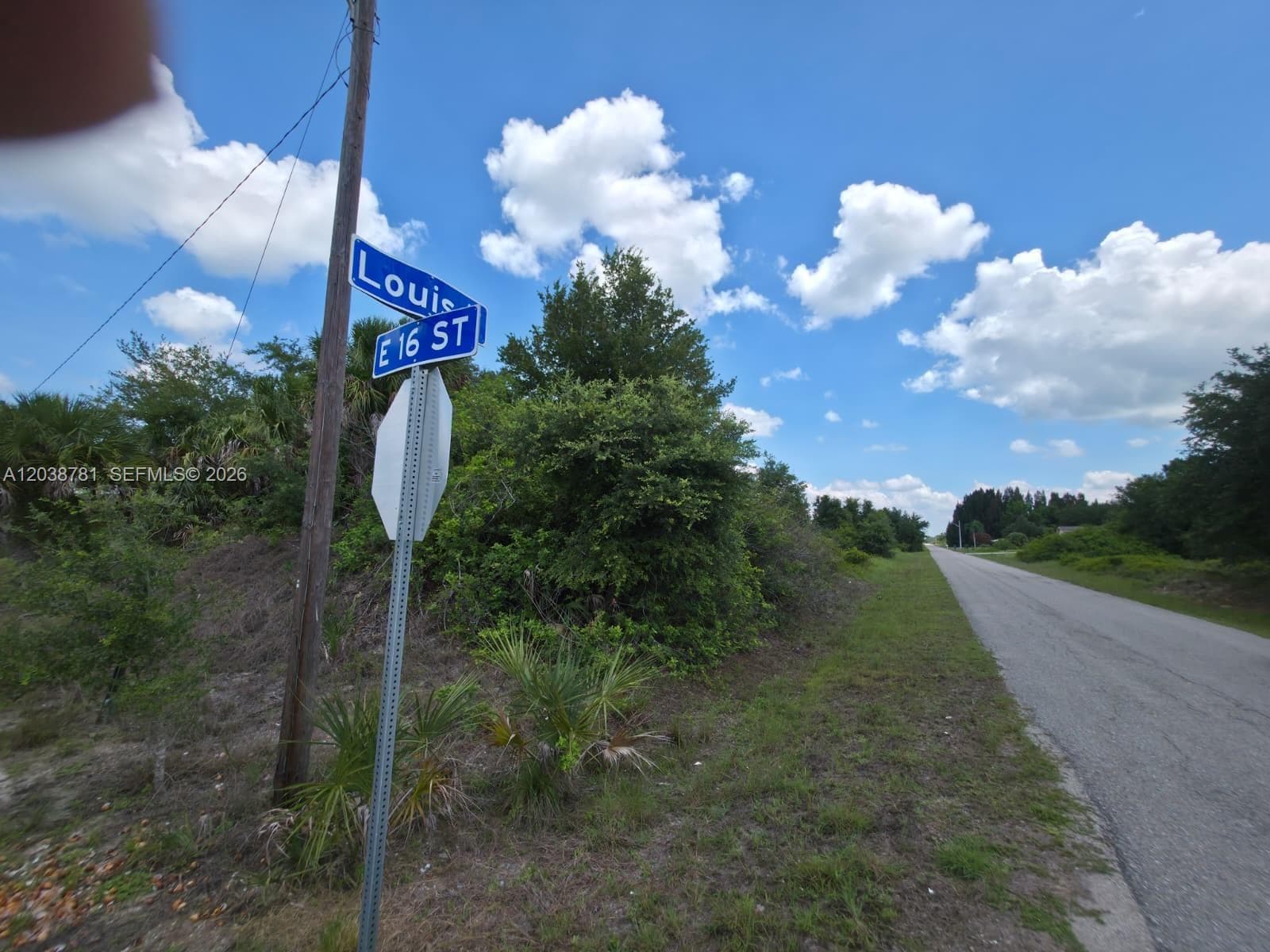 1616 LOUIS AVE, Lehigh Acres, FL 33972 photo 2