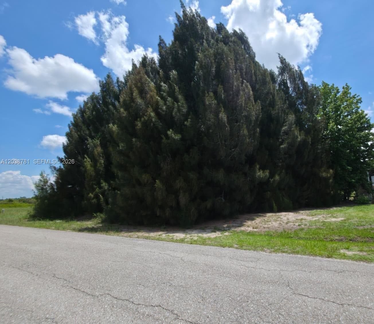 1616 LOUIS AVE, Lehigh Acres, FL 33972 photo 3