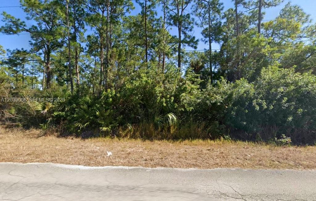 1010 Henry Ave, Lehigh Acres, FL 33972 photo 2