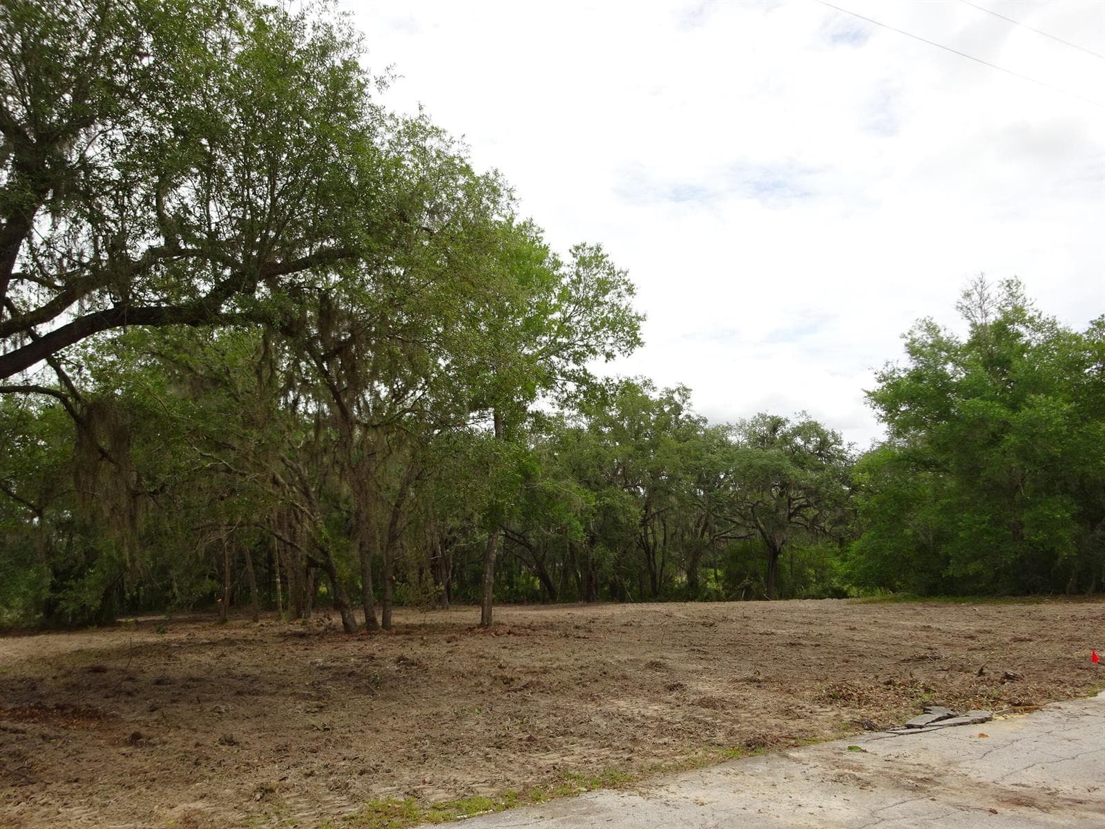 Lots 449,450,451,452,453 SW Shorewood Drive SW, FL 34431 photo 2