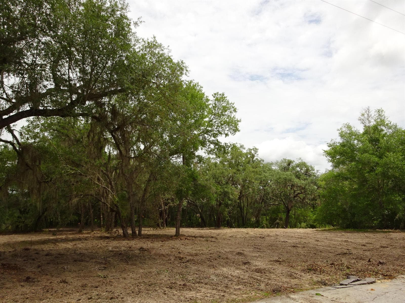 Lots 449,450,451,452,453 SW Shorewood Drive SW, FL 34431 photo 5