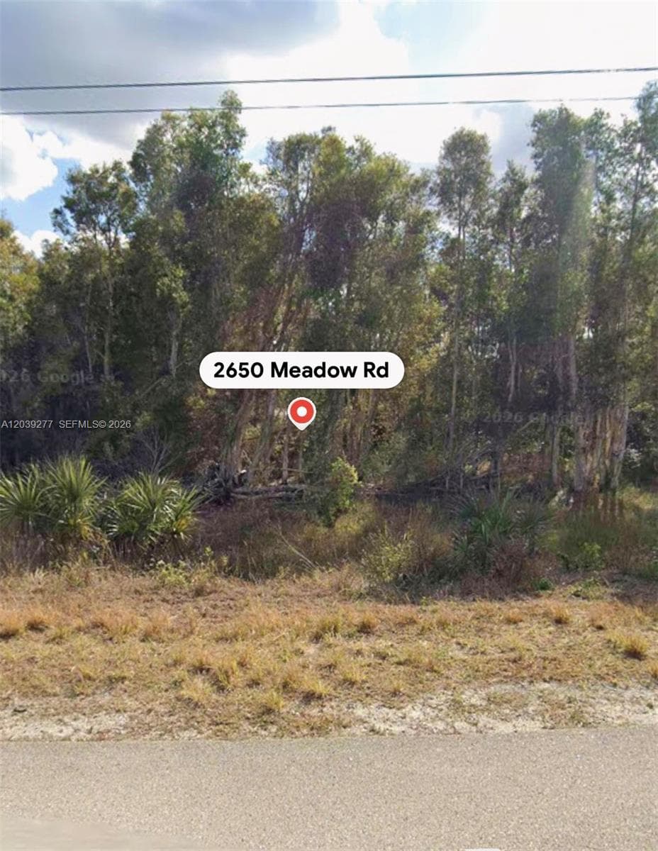 2650 Meadow RD, Lehigh Acres, FL 33974 photo 2