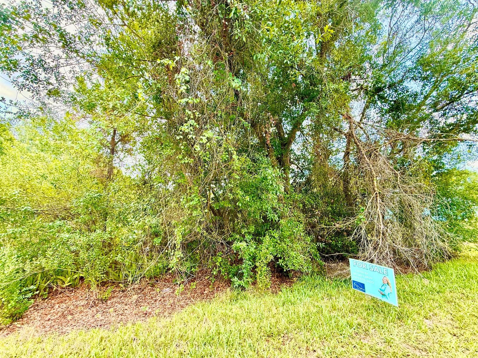10530 NE 2nd Terrace, Okeechobee, FL 34972 photo 3