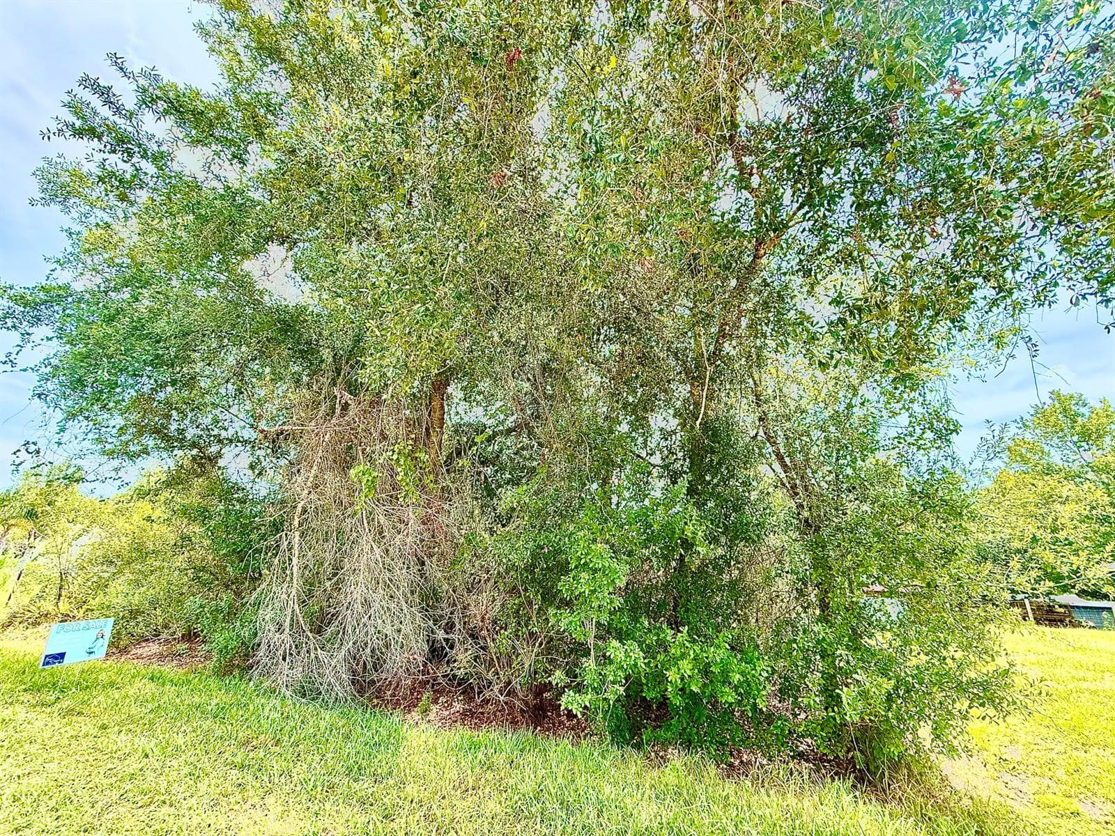 0 NE 2nd Terrace, Okeechobee, FL 34972