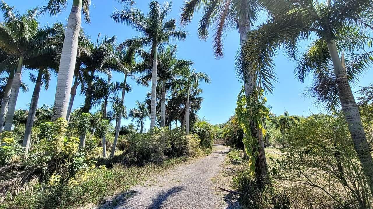 4095 Windmill Road, Loxahatchee, FL 33470 photo 2