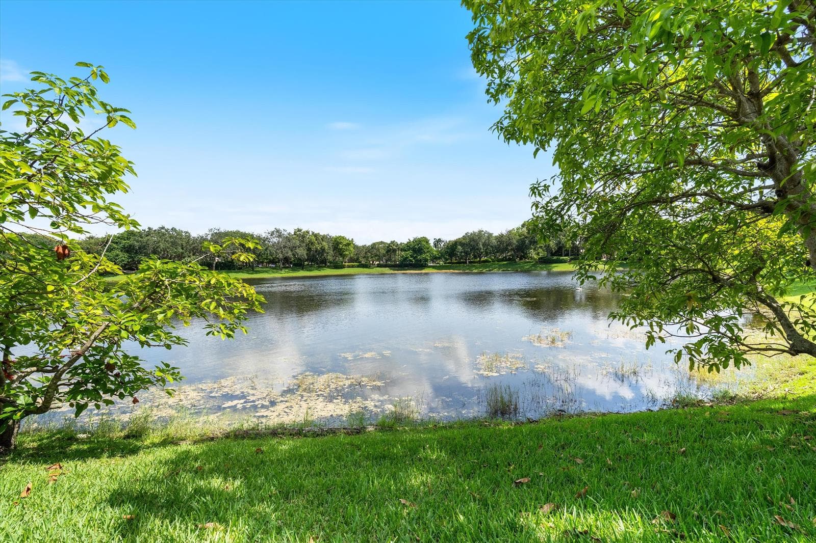 11259 NW 65th Manor, Parkland, FL 33076 photo 5