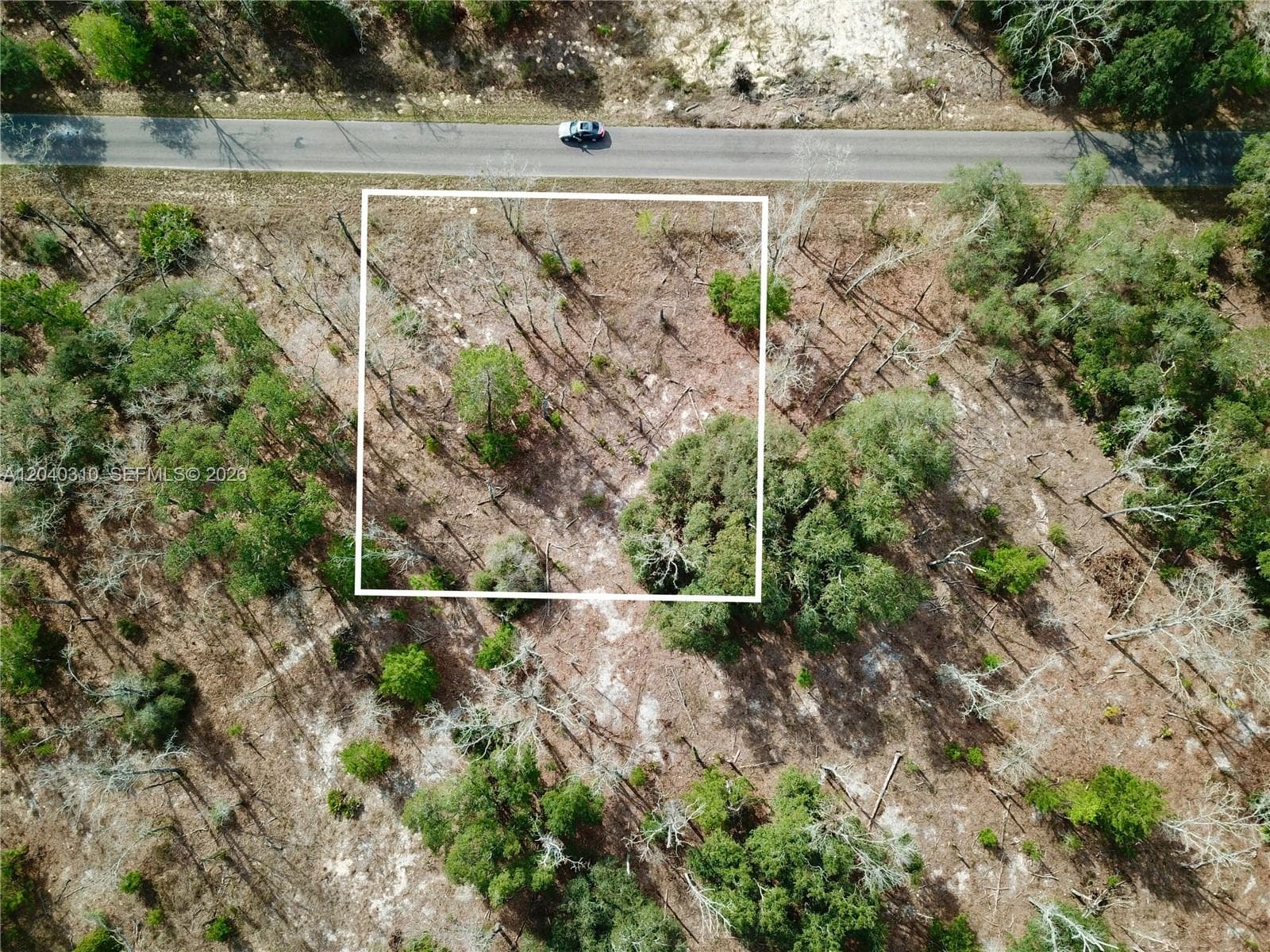 Lot Nearby 19 Bay Track Court, Other City - In The State Of Florida, FL 32179 photo 2