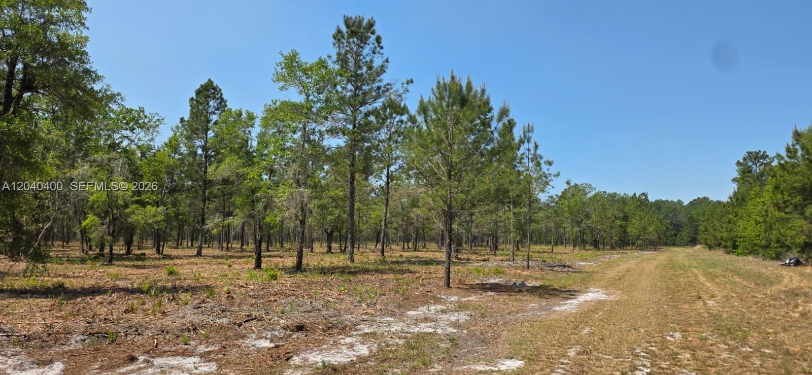 xx SE 225th Dr, Other City - In The State Of Florida, FL 32640 photo 3