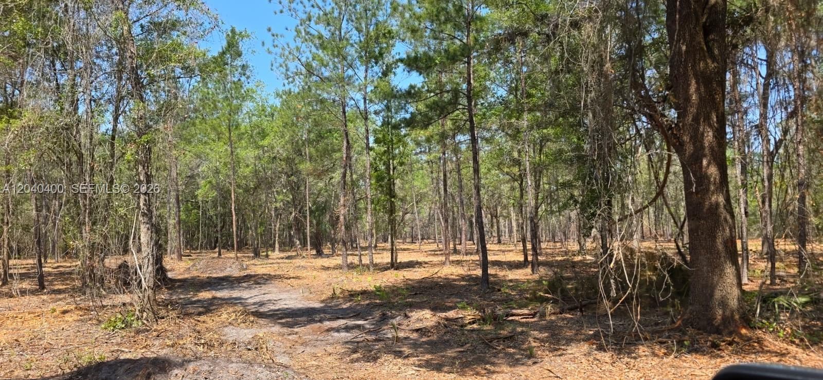 xx SE 225th Dr, Other City - In The State Of Florida, FL 32640 photo 4