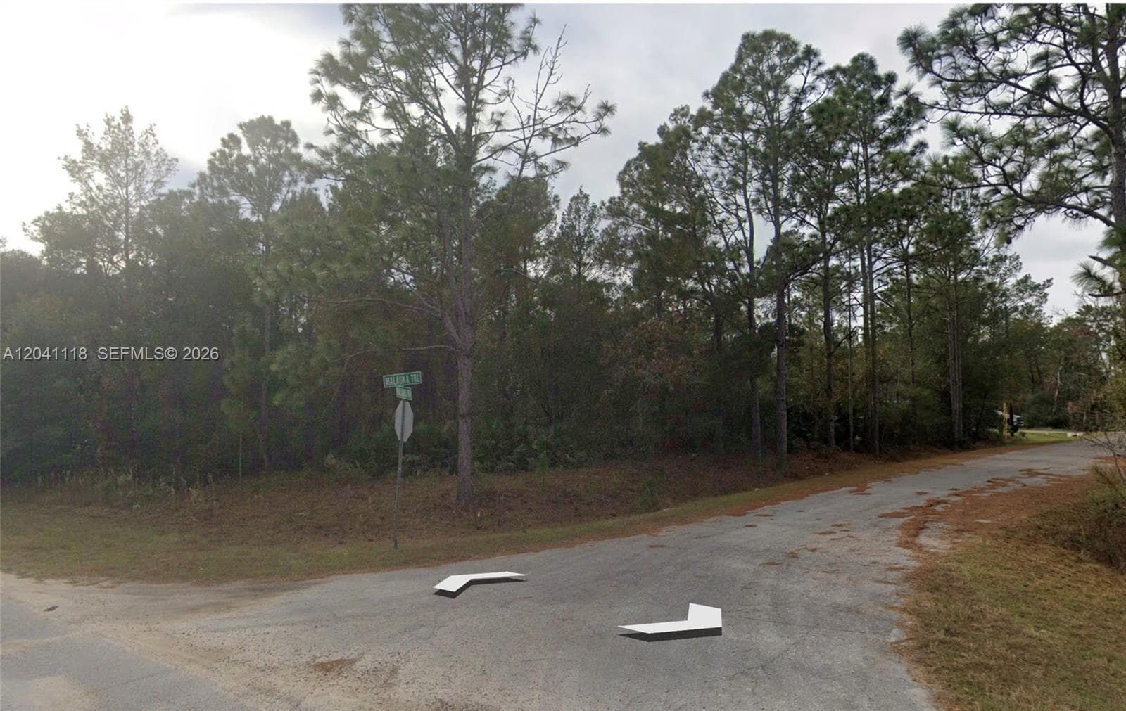 0 Malauka Trl, Other City - In The State Of Florida, FL 32179 photo 3