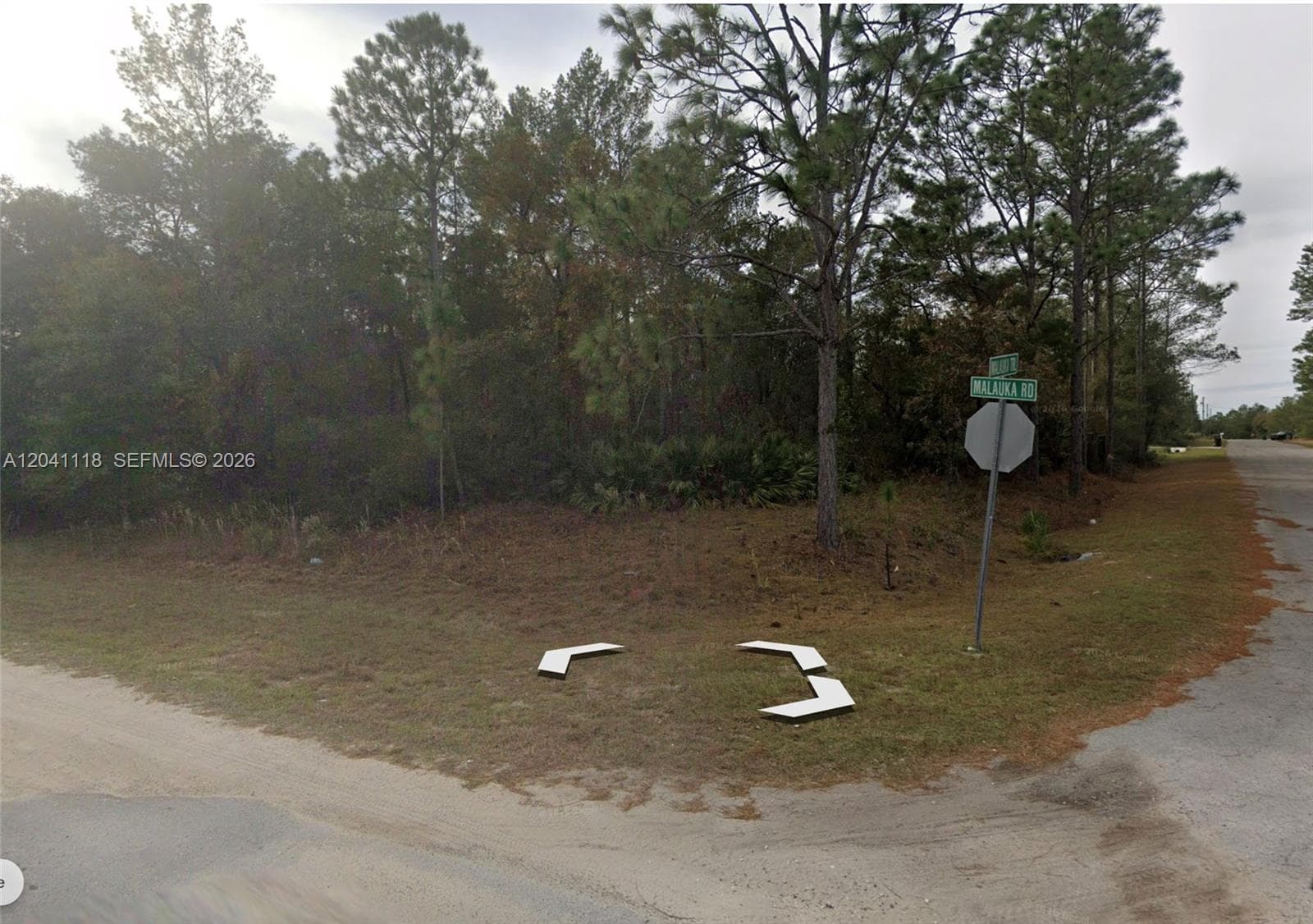 0 Malauka Trl, Other City - In The State Of Florida, FL 32179 photo 4